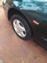 A picture of A Very Sound Hound Babyboy For Saleowner Need Money Buy