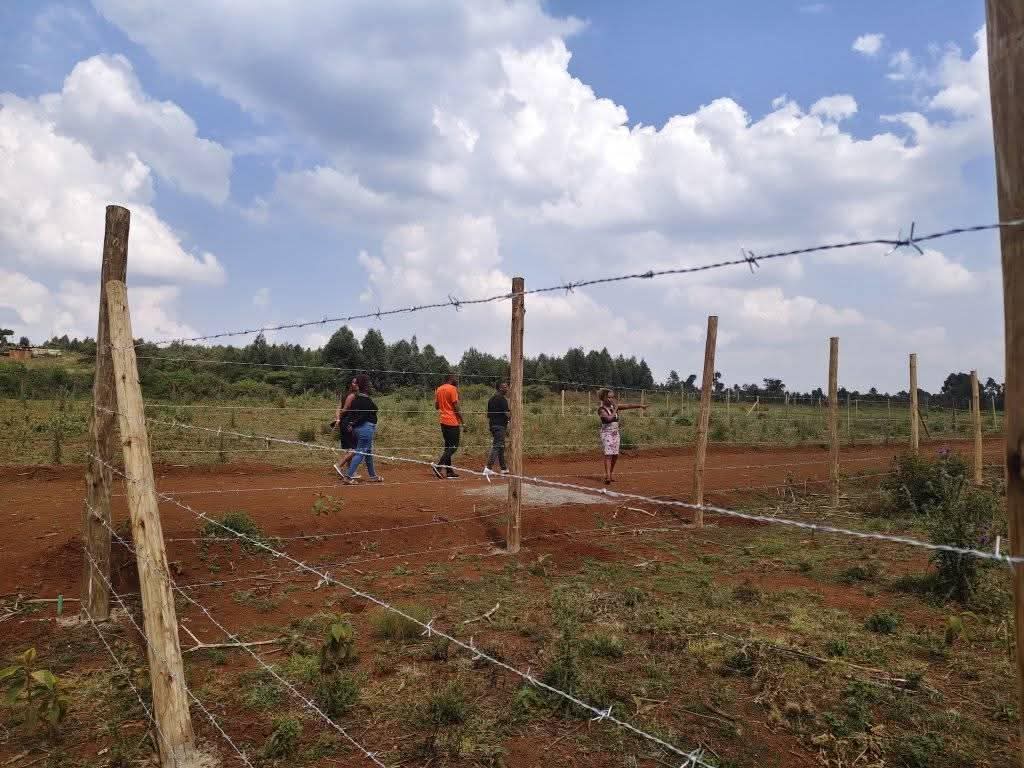 kenya plots