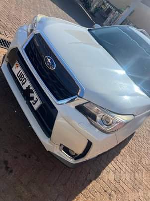 A picture of Forester Subaru 2016 53M