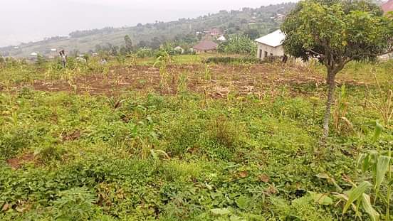 A picture of Ikibanza kigurishwa wagabanyamo bibiri