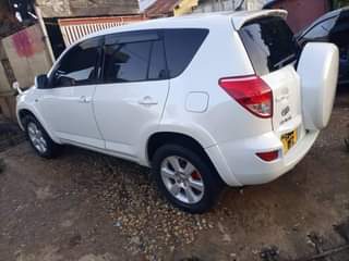 A picture of RAV4 MISS TZ