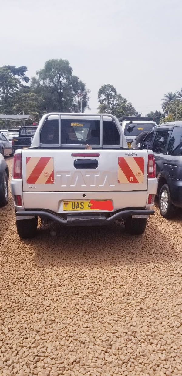 A picture of Tata xionan