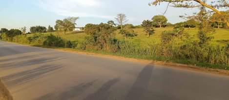 A picture of 15 ACRES AT MATUGGA TOUCHING TARMAC. 350m acre.