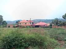 Sewankambo A.