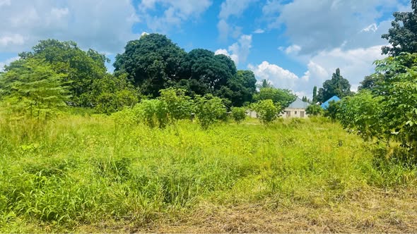 A picture of Property for sale