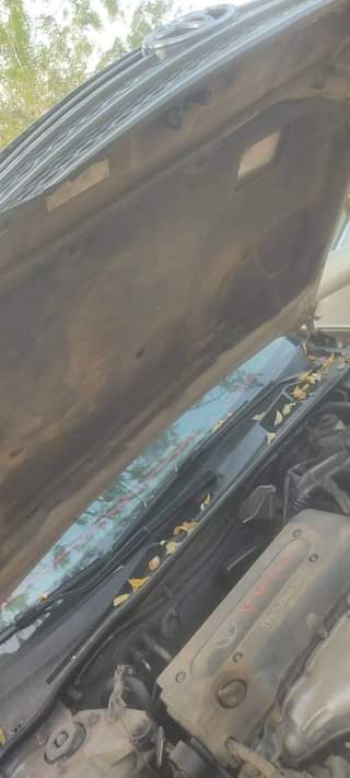 A picture of 2004 Toyota 2004