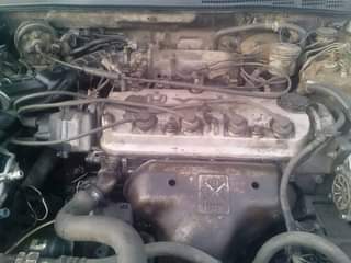 A picture of 1996 Honda Accord Le