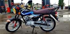 A picture of Tvs Hilux Star 125