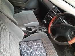 A picture of 5 5m 0752914808