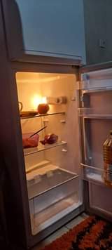 classifieds/fridges