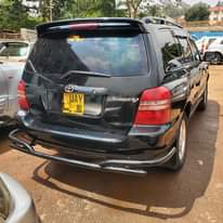 A picture of KLUGER 2004 21M
