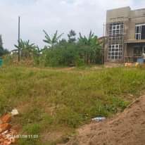 A picture of Polots on bombo road