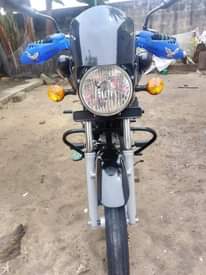 A picture of boxer hd 125
