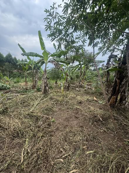 A picture of Land for sale in Katende