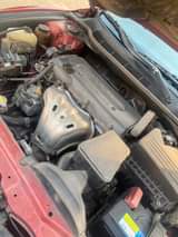 A picture of 2009 Toyota muscle