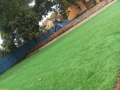 A picture of Artificial Turf Grass carpets 