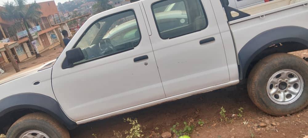 A picture of Nissan hard body