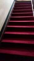 A picture of Wollen carpets