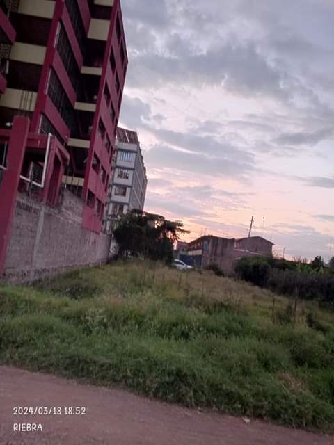house kahawa