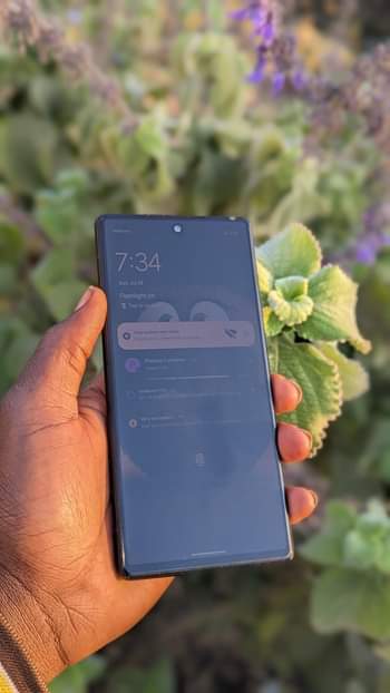A picture of Google pixel 6 kavu