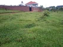 A picture of CHRISTMAS OFFER 50BY100 WITH READY LAND TITLE AT 20M NKOWE