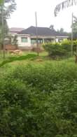 A picture of  Land For Sale at UGX280M Location Kyengera Nabbingo town