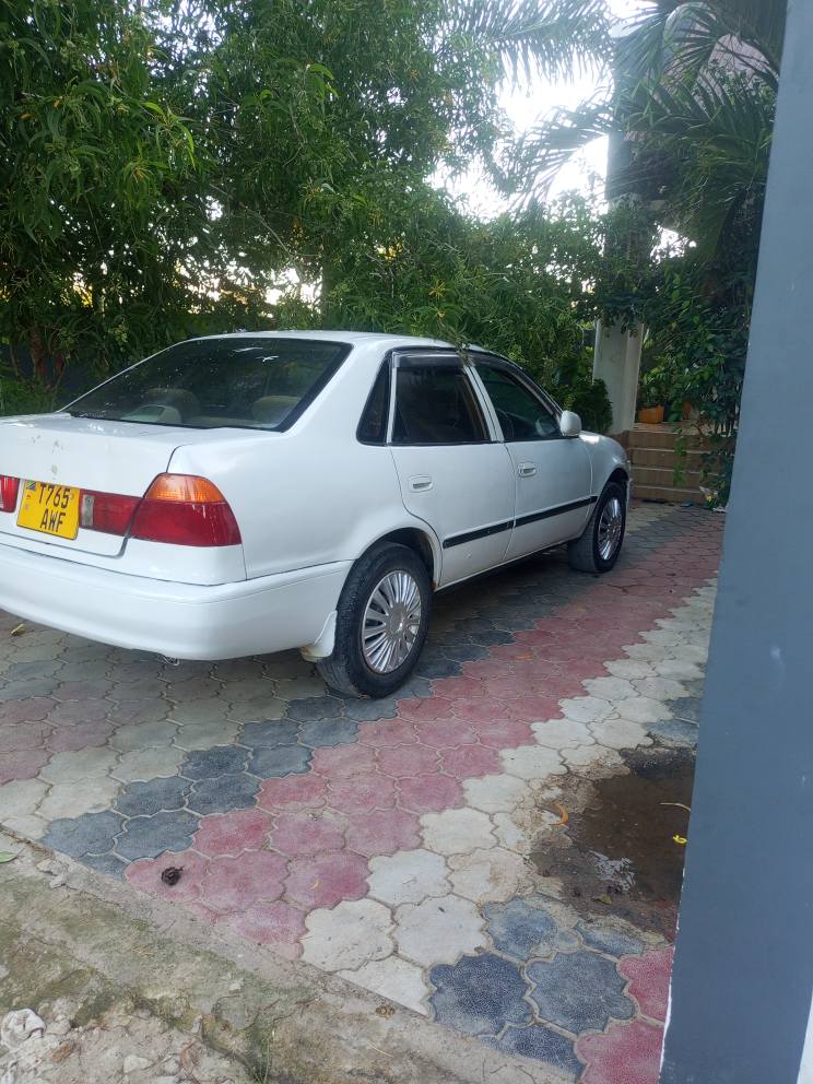 A picture of Corolla