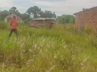 A picture of PLOTS IN NALONGO TRADING CENTER AVAILABLE FROM AS LOW AS