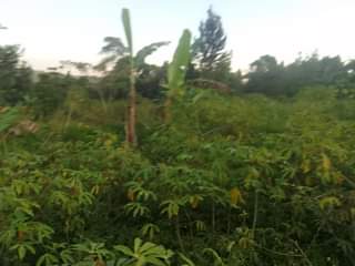 A picture of 180ft by 90ft plot on quick sale by owner in