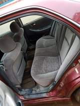 A picture of 