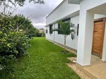 lilayi
