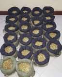 A picture of we sell gold at unbelievable prices contact us if interested