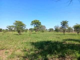 chisamba