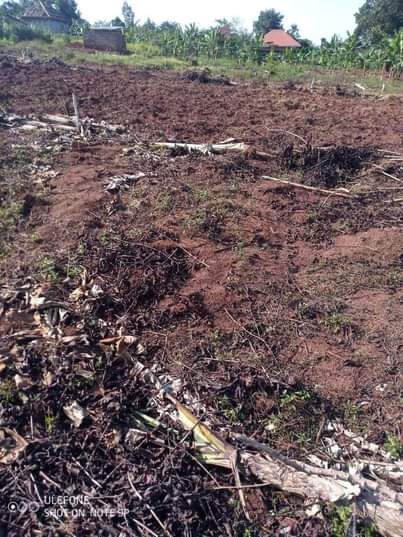 A picture of Vamubupangisa part one New estate site in katende masaka road