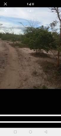A picture of SHAMBA HEKA 20 LINAUZWA MZENGA WILAYA YA KISARAWE MKOA WA