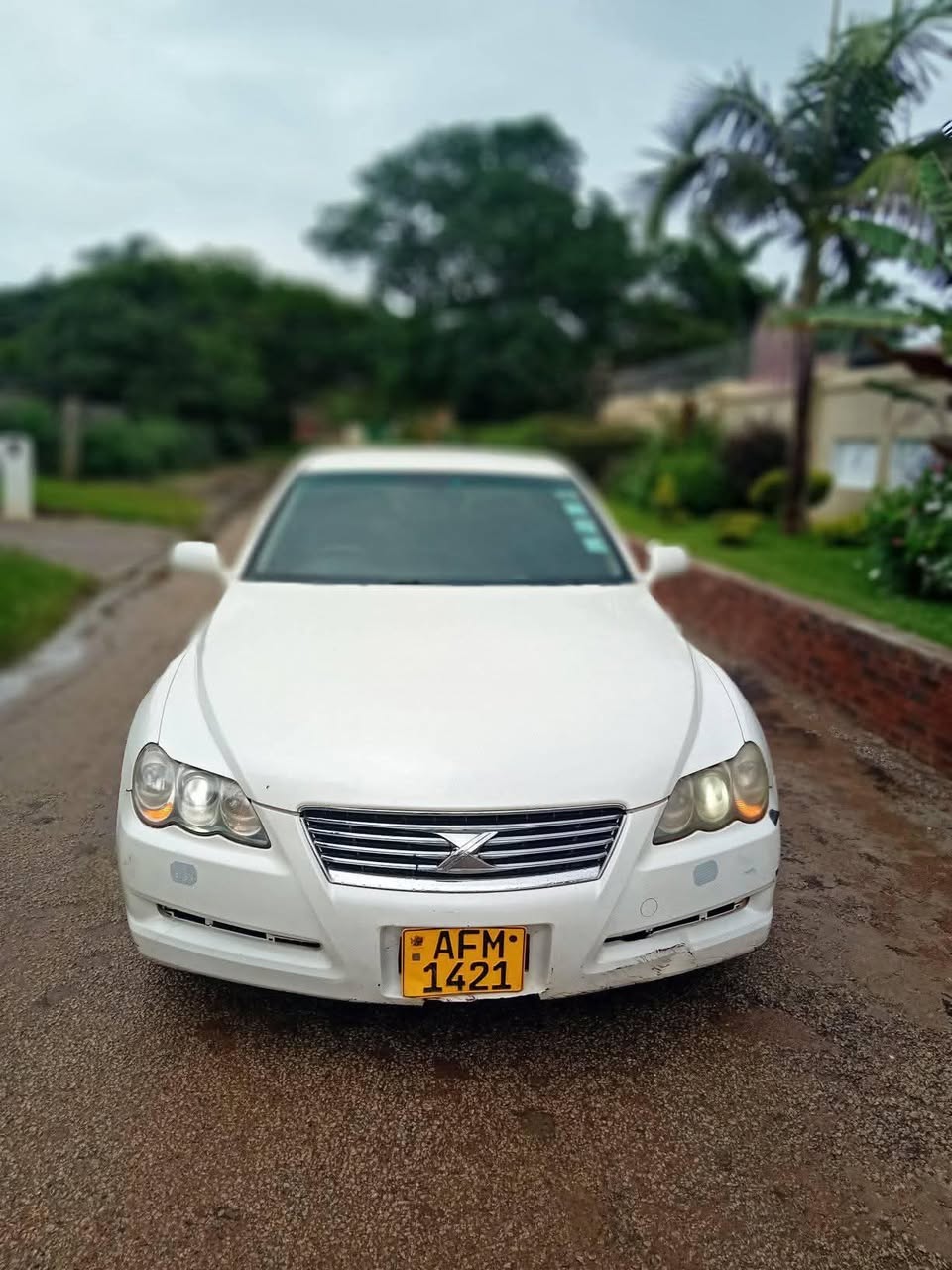 used toyota mark x