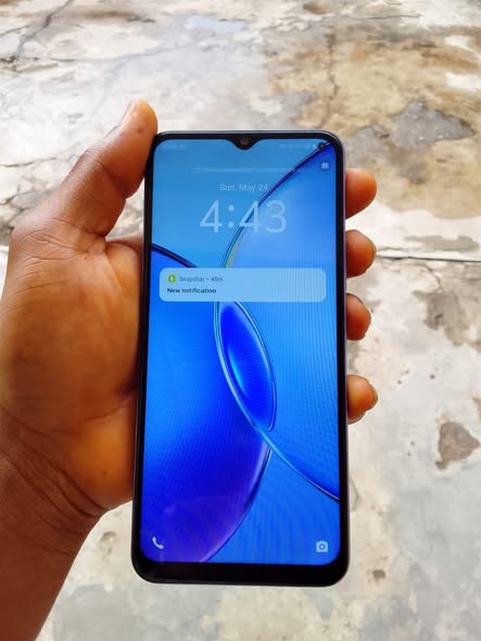 A picture of Vivo Y17s