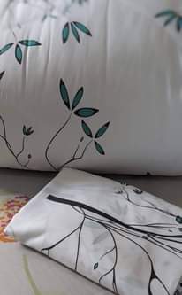 A picture of Duvet