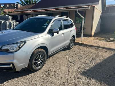 Tristan H.