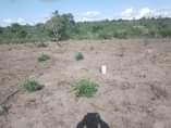 A picture of VINAUZWA LAKI 5 CALL 0786111796 0744740524