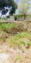 A picture of Viwanja