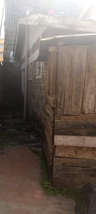 house kahawa
