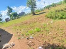 A picture of Plots for sale