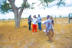 plots mariakani