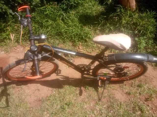 bicycle