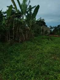 A picture of ANTI MR PROPERTY MANAGEMENT PLOT FOR SALE LOCATED AT KASANJE