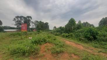 A picture of 50 100 plot in kasanje bunjo at only 8.500.000