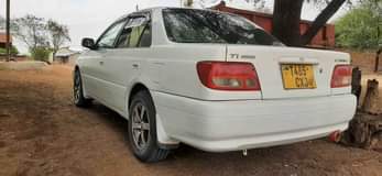 A picture of Carina ti Ml 6 5 Location shinyanga 0718829470 KAMA UNAUZA