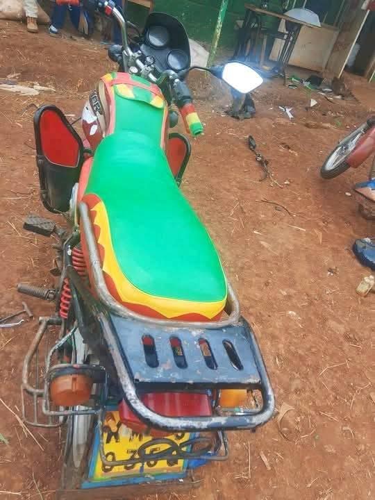 motorbikes