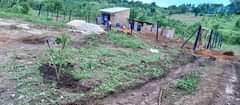 A picture of ALL INSTALLMENTS allowed Plots from 1million Call or wtsup 256752759996
